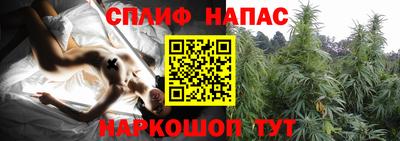 дурь Будённовск