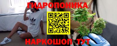 дурь Будённовск