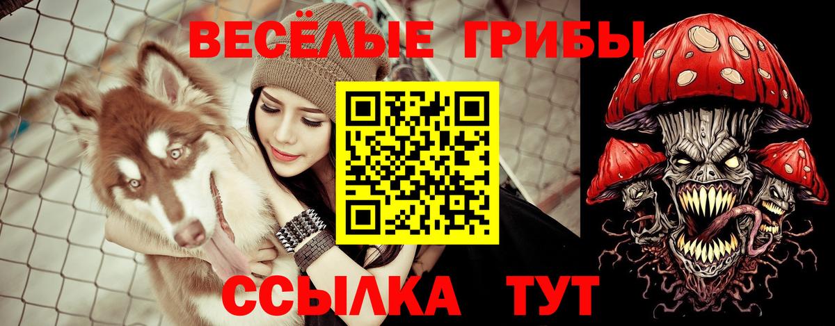 Галлюциногенные грибы мухоморы  Вход с VPN  Топки 
